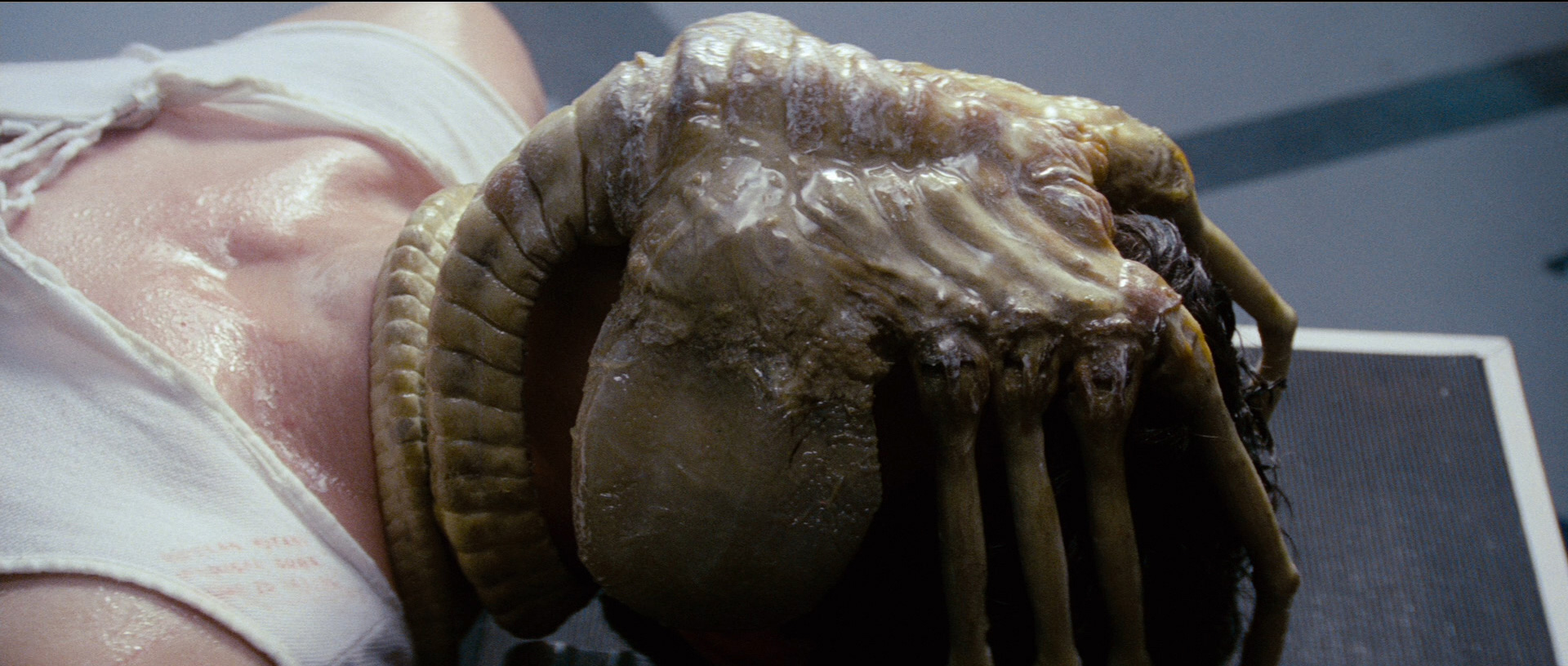 Facehugger anyone? Ridley Scott's Alien