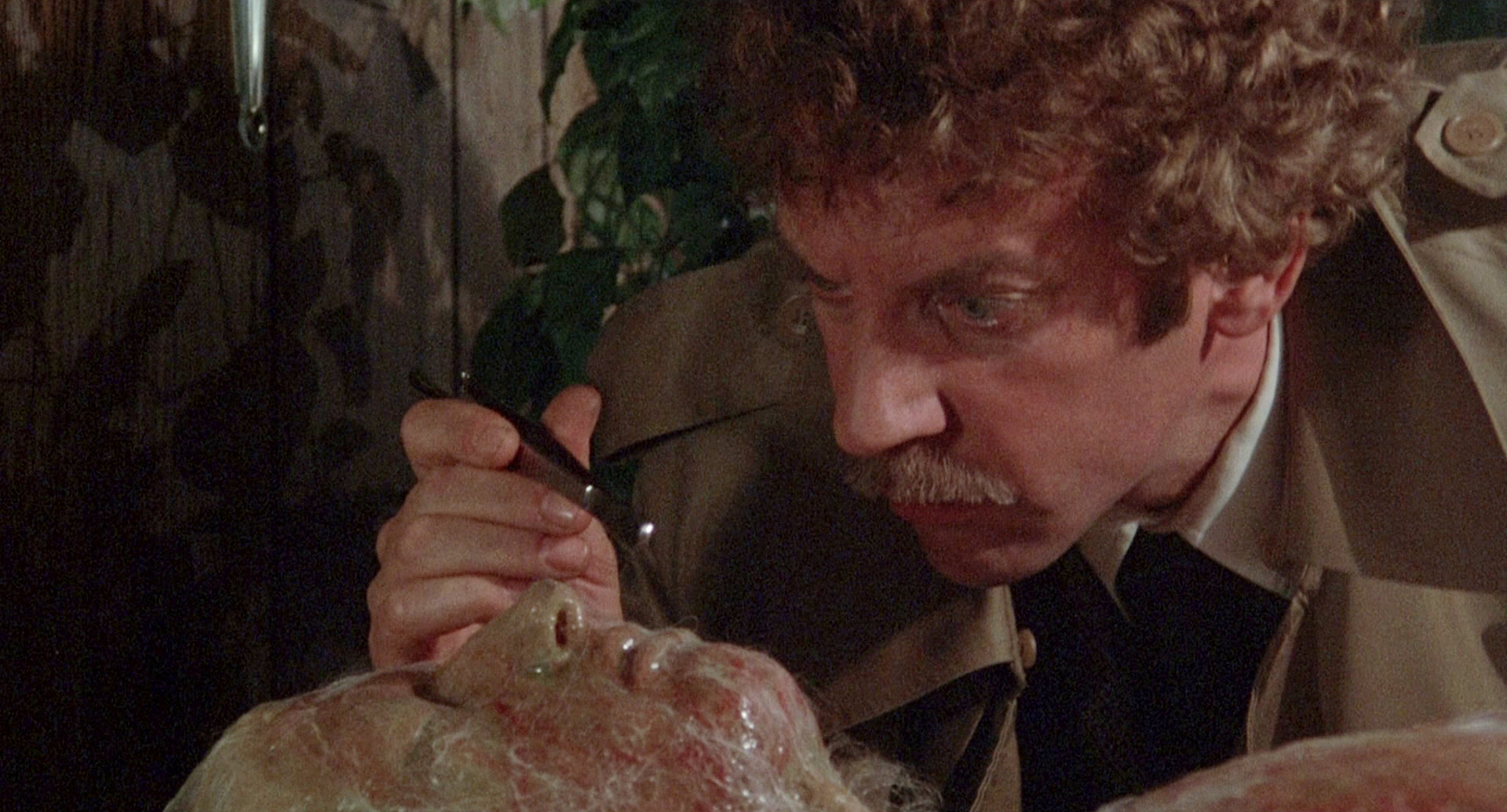 Donald Sutherland never meets a pod he likes in 1978's Invasion of the Body Snatchers